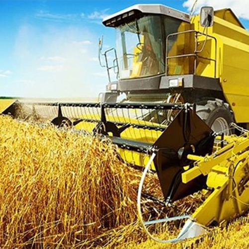 Landwirtschaft